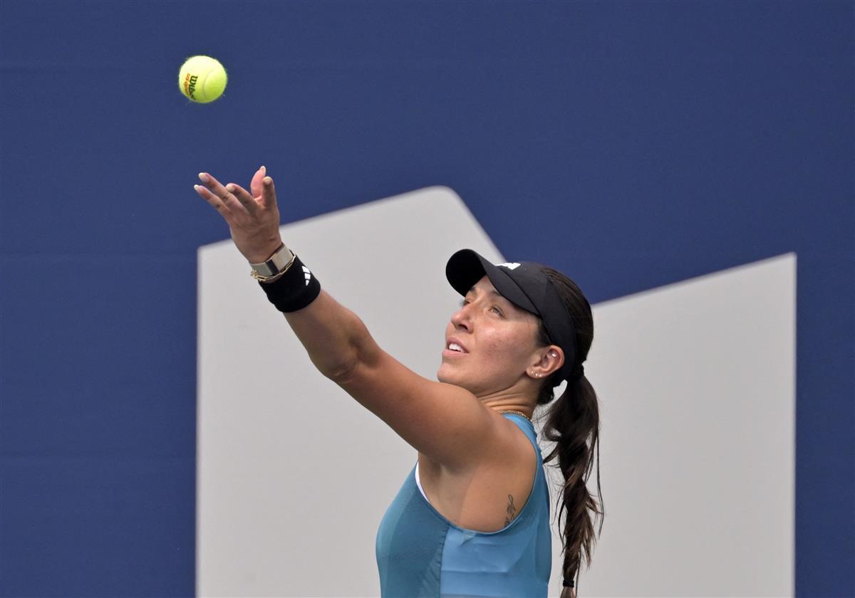 适应雄鹿的 适应雄鹿的