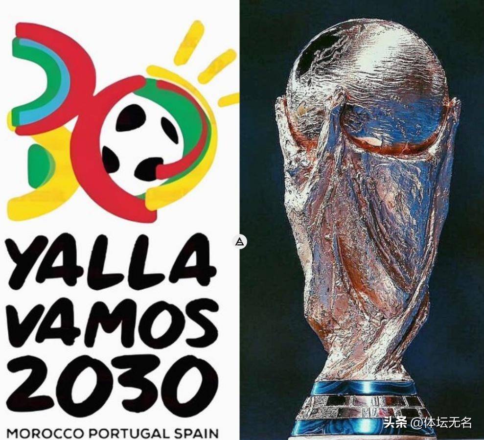 能力得到提 能力得到提