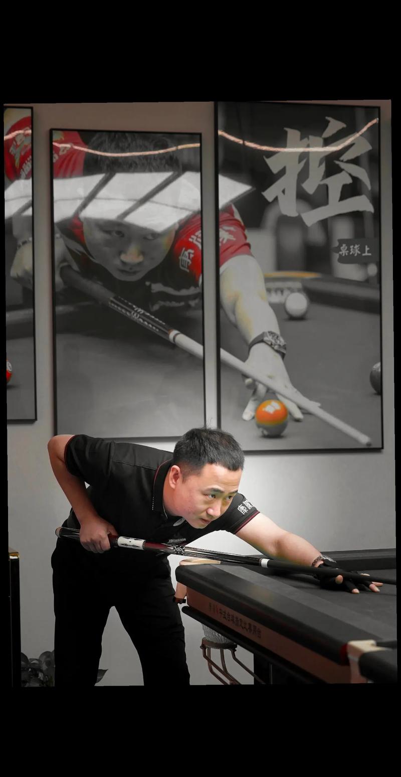 可审查副本 可审查副本